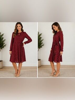 NWT ZARA MAROON LONG SLEEVE MAXI DRESS
